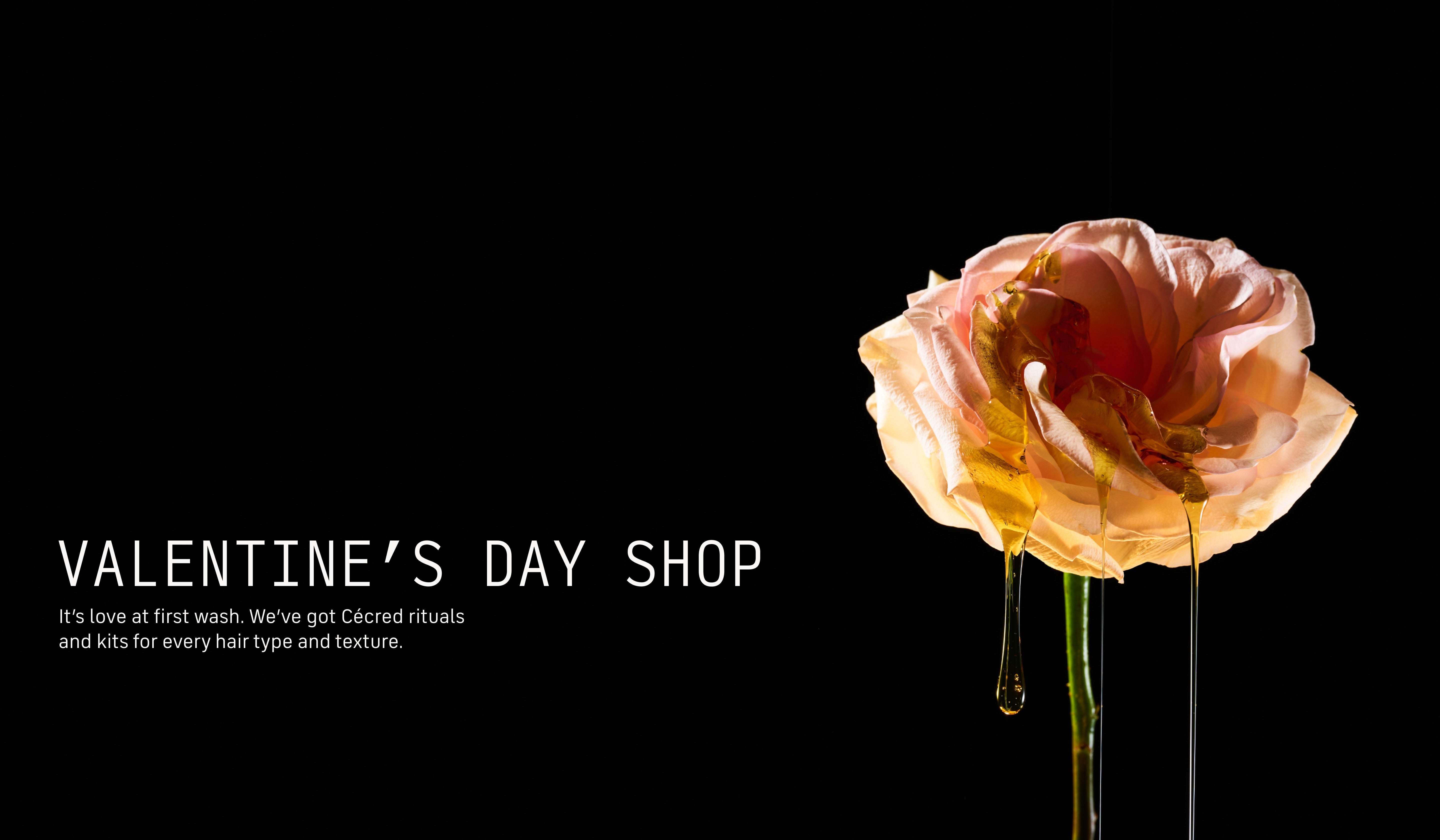 Valentine's Day Shop hair care gifts for her and him