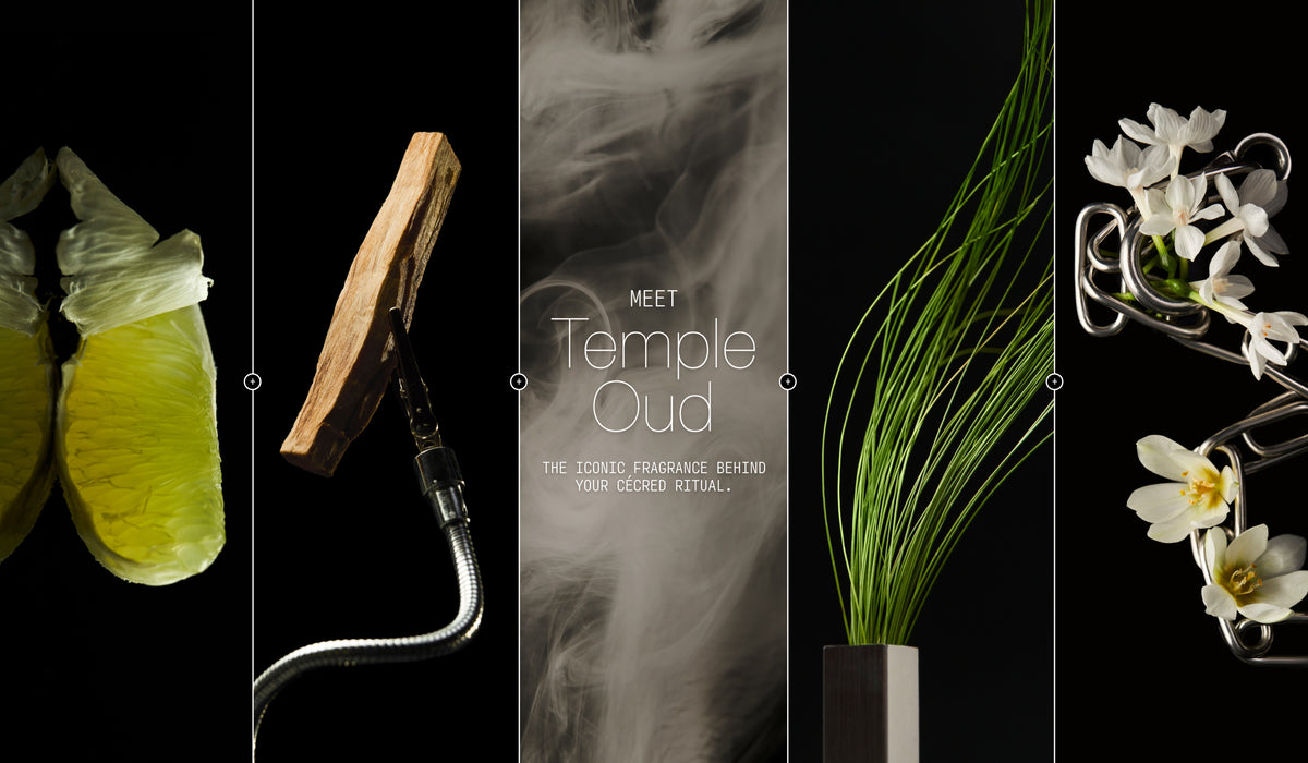 Cécred banner introducing Temple Oud fragrance with citrus, white narcissus, green fern, and oud wood note images