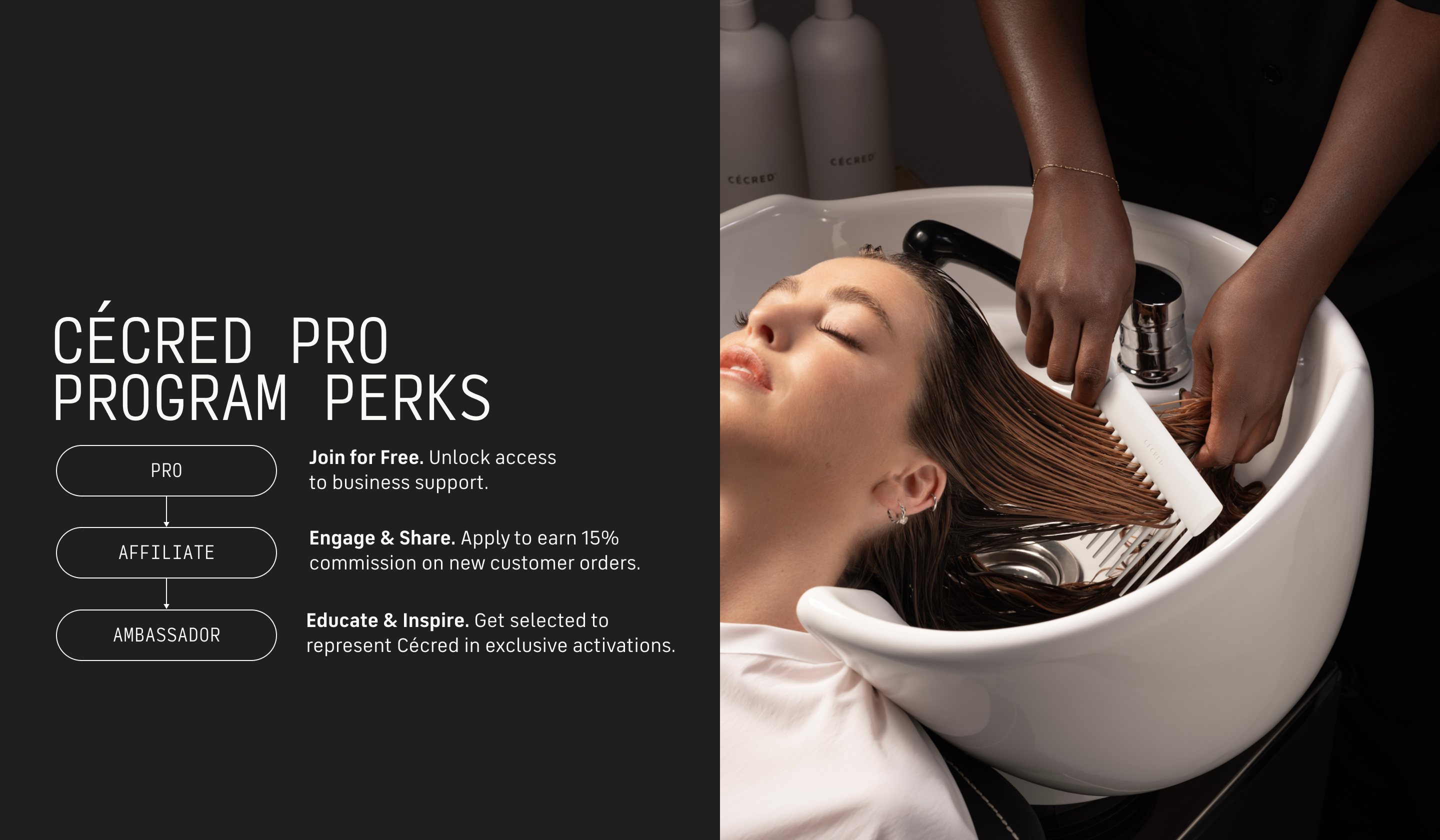 Cécred Pro Program Perks infographic with tiers Pro, Affiliate, and Ambassador, alongside a stylist combing a client's hair at a salon sink